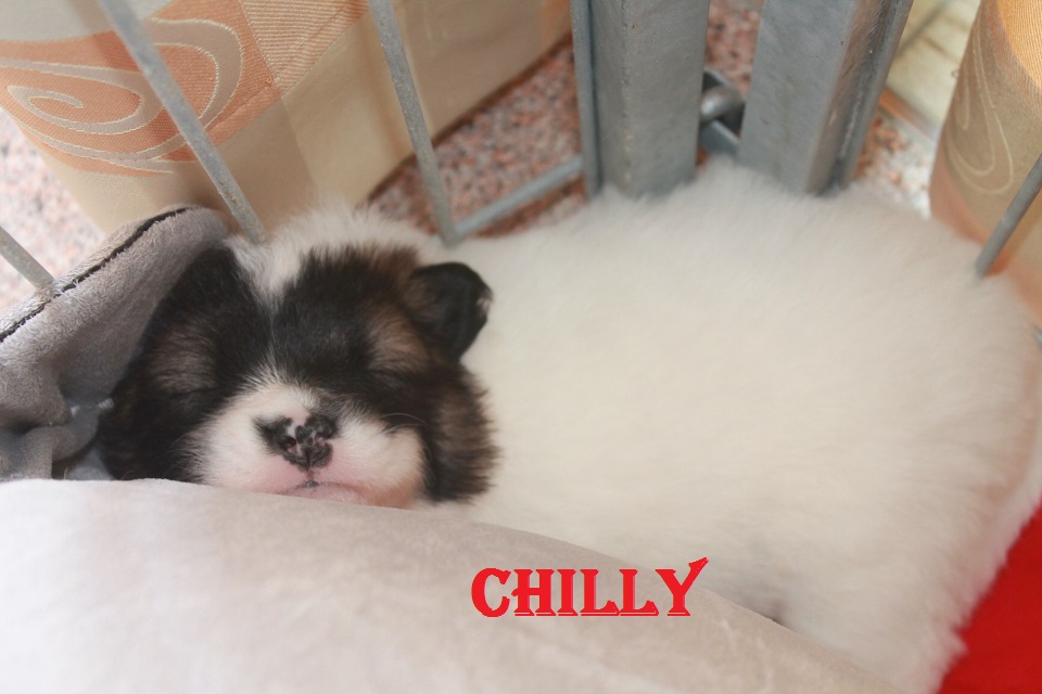 14.06.14Chilly